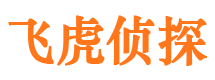 四川市侦探调查公司